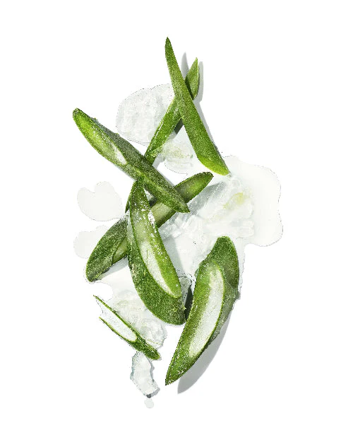 MASAMI - Mekabu Hydrating Conditioner - Image 5